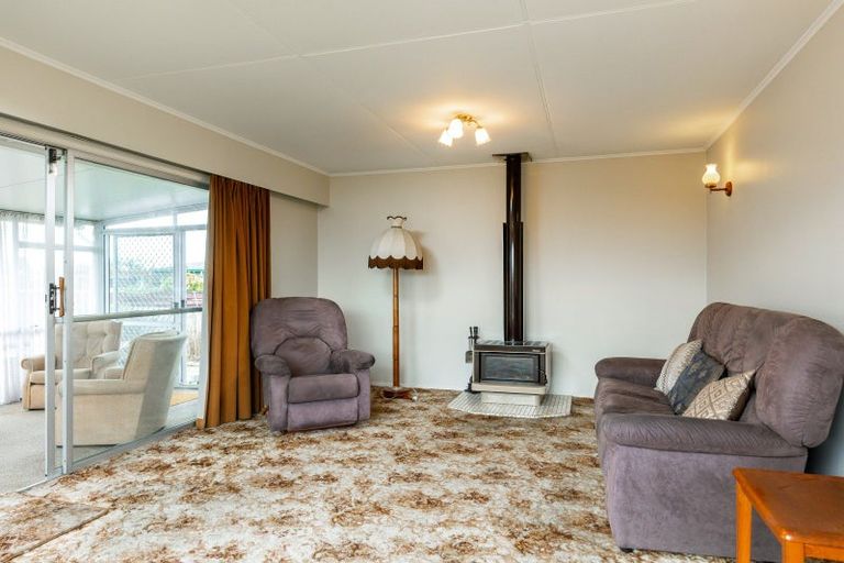 Photo of property in 17 Kilworth Place, Witherlea, Blenheim, 7201