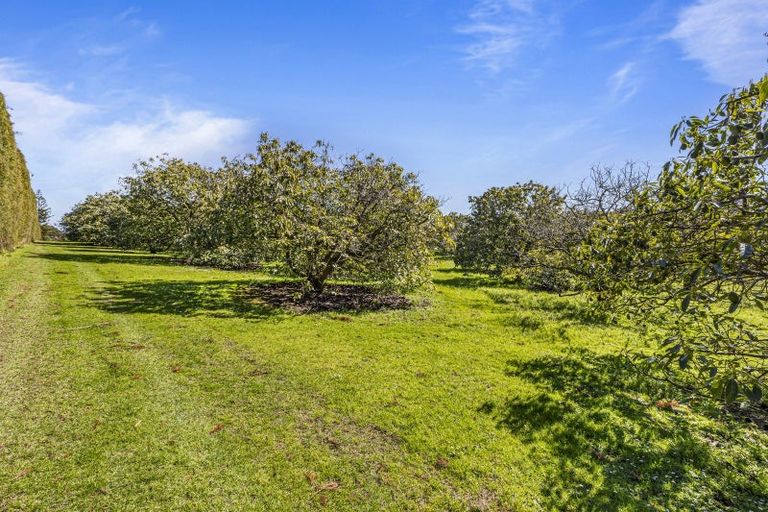 Photo of property in 105 Mairetahi Road, South Head, Helensville, 0874