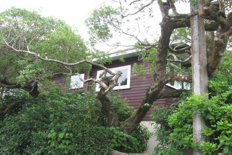 Photo of property in 40a Baroda Street, Khandallah, Wellington, 6035