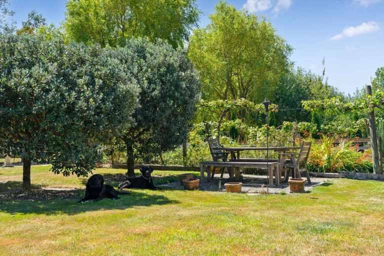 Photo of property in 147 Black Rock Road, Te Ore Ore, Masterton, 5886