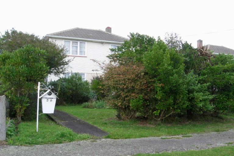 Photo of property in 58 Andrew Avenue, Roslyn, Palmerston North, 4414