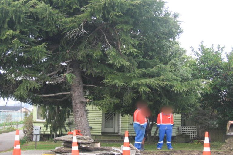 Photo of property in 935 Nelson Street North, Mahora, Hastings, 4120