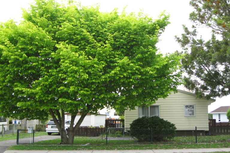 Photo of property in 17 Verner Place, Conifer Grove, Takanini, 2112