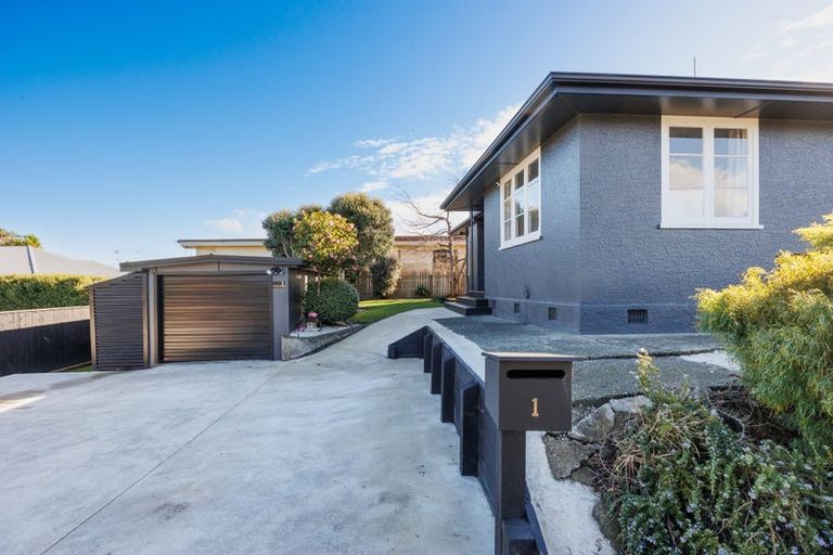 Photo of property in 1 Salisbury Avenue, Terrace End, Palmerston North, 4410