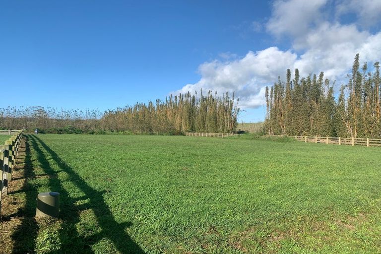 Photo of property in 14 Norts Way, Waipu, 0582