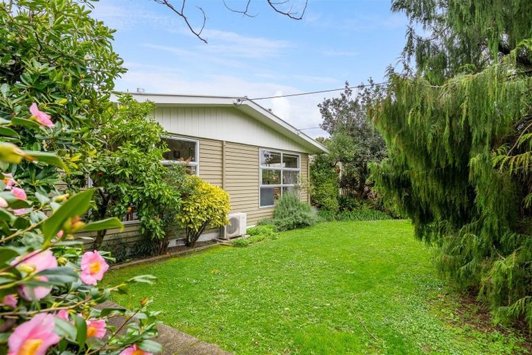 Photo of property in 11 Upper Plain Road, Masterton, 5810