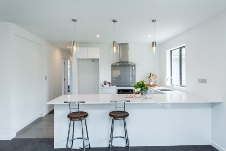 Photo of property in 25 Barry Curtis Place, Levin, 5510