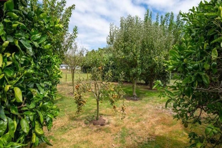 Photo of property in 186 Holland Road, Puketaha, Hamilton, 3286