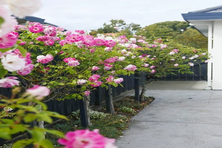 Photo of property in 8 Tankersley Street, Lansdowne, Masterton, 5810