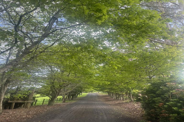 Photo of property in 48a Sinclair Road, Ararimu, Drury, 2579