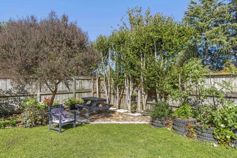 Photo of property in 245 Clarkin Road, Fairfield, Hamilton, 3214