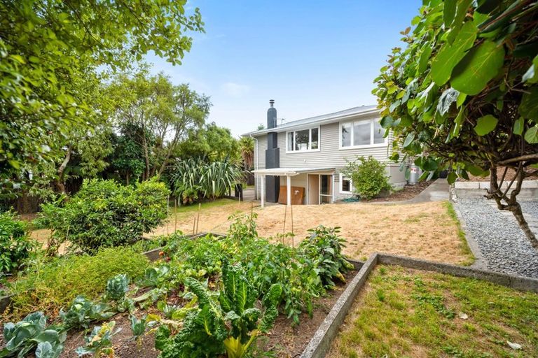 Photo of property in 11b Puriri Street, Hilltop, Taupo, 3330