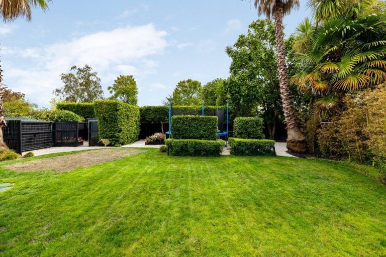 Photo of property in 13 Saint Winifreds Avenue, Hamilton East, Hamilton, 3216