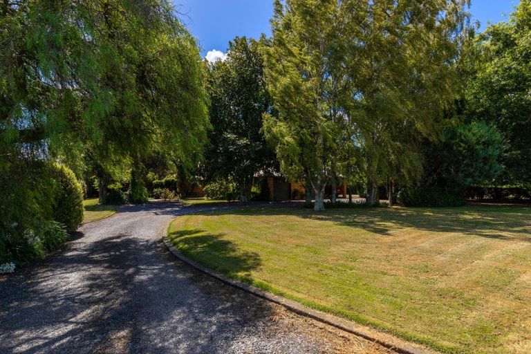 Photo of property in 21 Jones Road, Grovetown, Blenheim, 7273