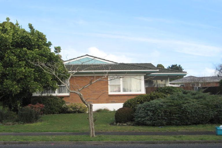 Photo of property in 117 Elliot Street, Pahurehure, Papakura, 2113