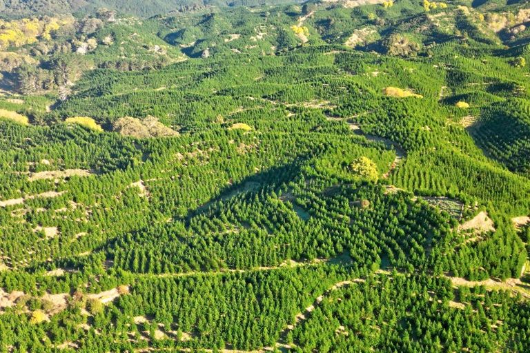 Photo of property in 751 Ongo Road, Hunterville, 4782