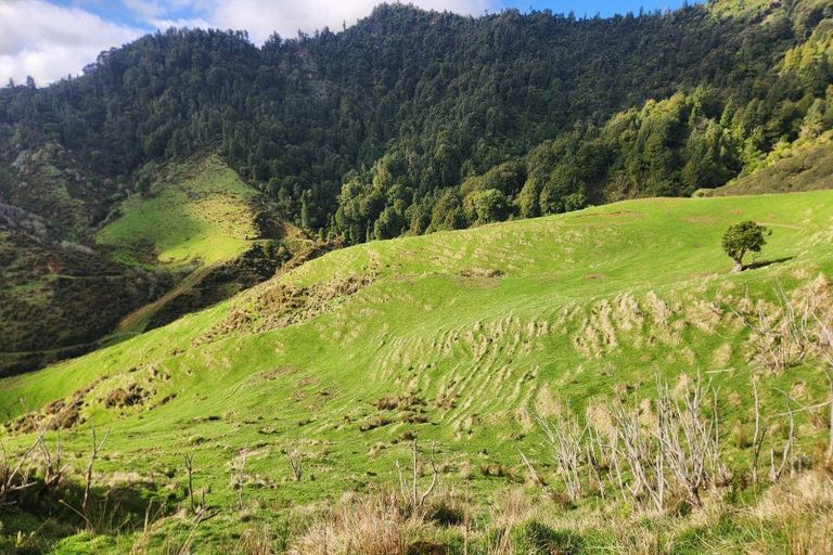 Photo of property in 987 Mangaehu Road, Puniwhakau, Stratford, 4392