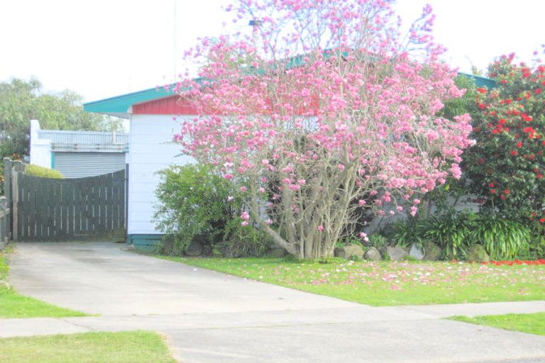Photo of property in 47 Puriri Crescent, Edgecumbe, 3120