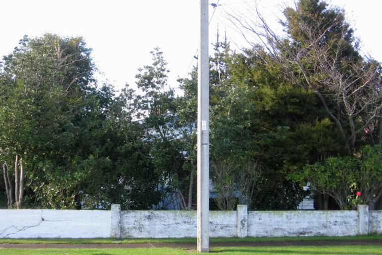 Photo of property in 11 Reeve Street, Levin, 5510