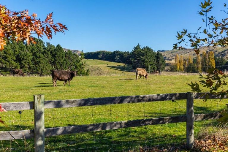 Photo of property in 984 Redwood Pass Road, Redwood Pass, Blenheim, 7274