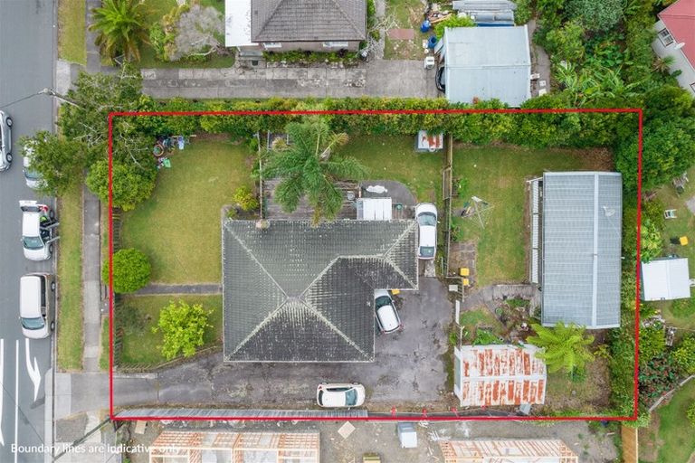 Photo of property in 48 Astley Avenue, New Lynn, Auckland, 0600