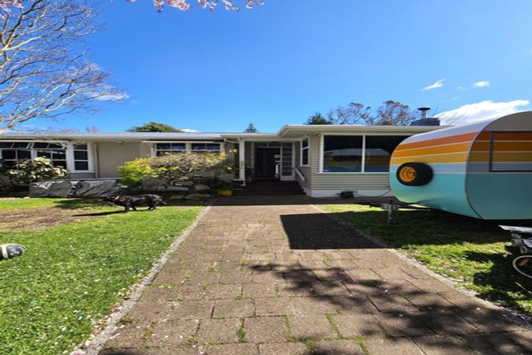 Photo of property in 17 Armagh Street, Greerton, Tauranga, 3112