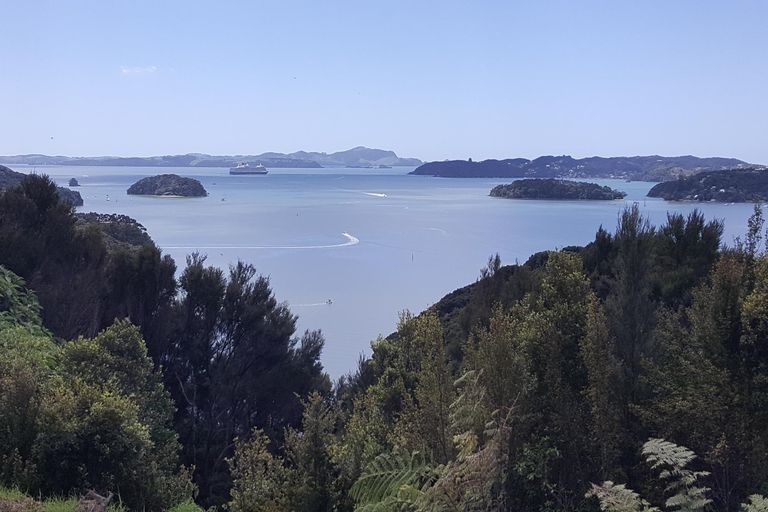 Photo of property in 3 Point Veronica Drive, Opua, 0200