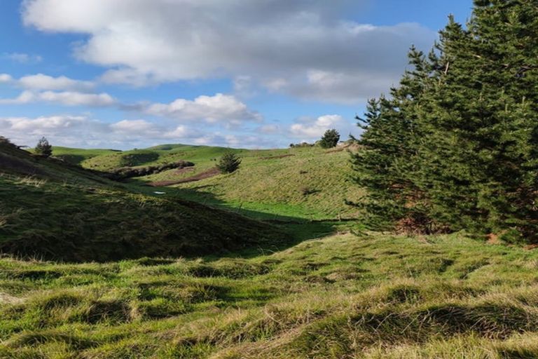 Photo of property in 405c Rowe Road, Ohauiti, Tauranga, 3173