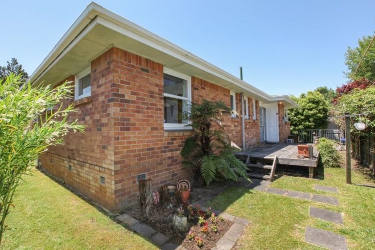 Photo of property in 149 Rimu Street, Maeroa, Hamilton, 3200