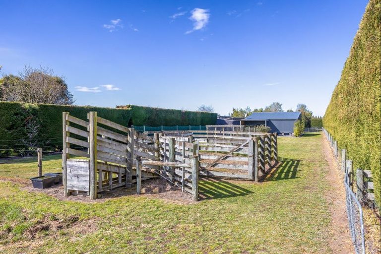 Photo of property in 1427 Tram Road, Swannanoa, Rangiora, 7475