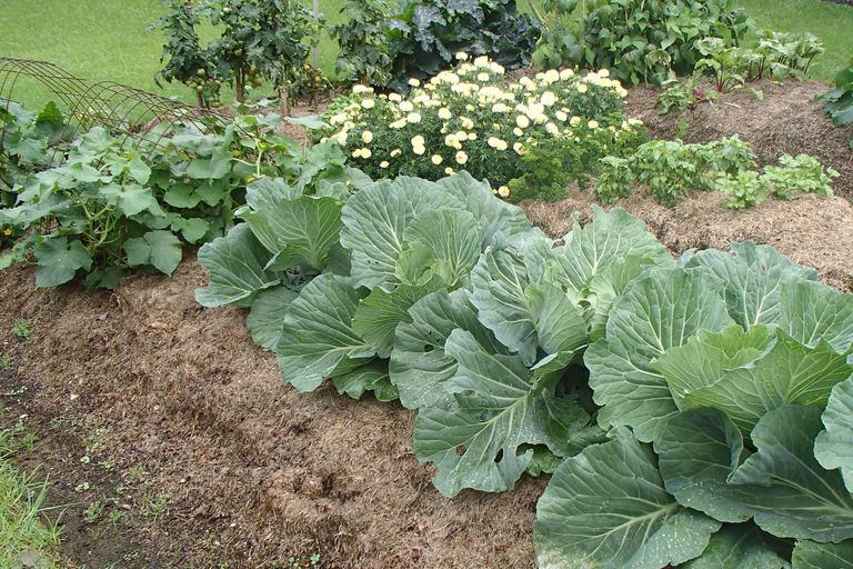 Photo of property in 122 Anzac Road, Morningside, Whangarei, 0110