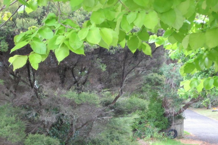 Photo of property in 76 Rosecamp Road, Beach Haven, Auckland, 0626