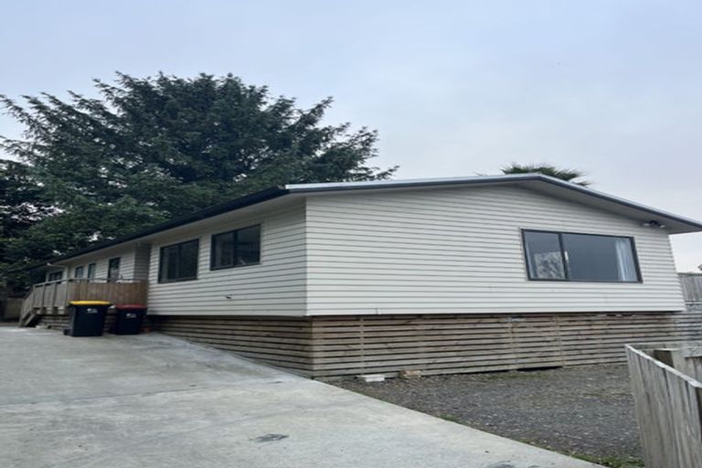 Photo of property in 91c Arapuni Street, Putaruru, 3411