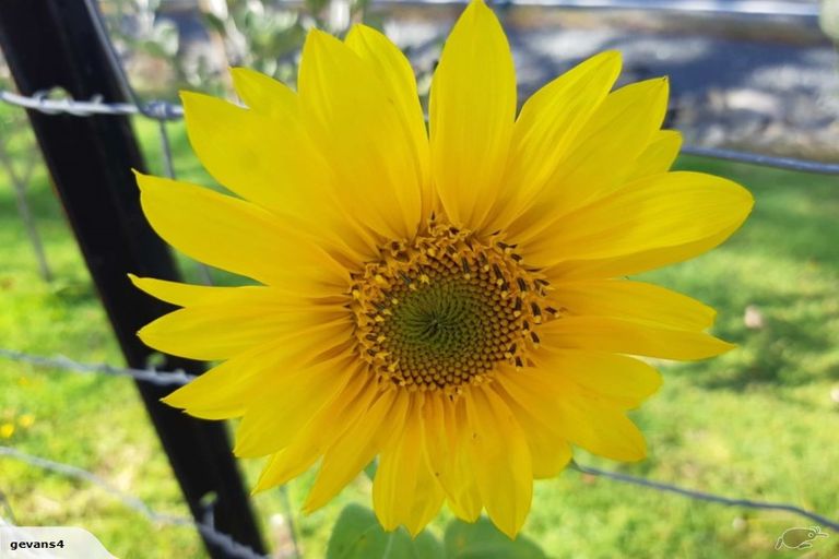 Photo of property in 3353 Mangakahia Road, Pakotai, Whangarei, 0172