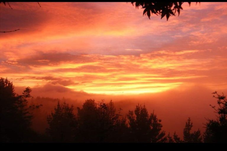 Photo of property in 233 Lloyd Valley Road, Thorpe, Motueka, 7196