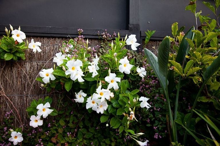 Photo of property in 2/246 Lake Road, Hauraki, Auckland, 0622