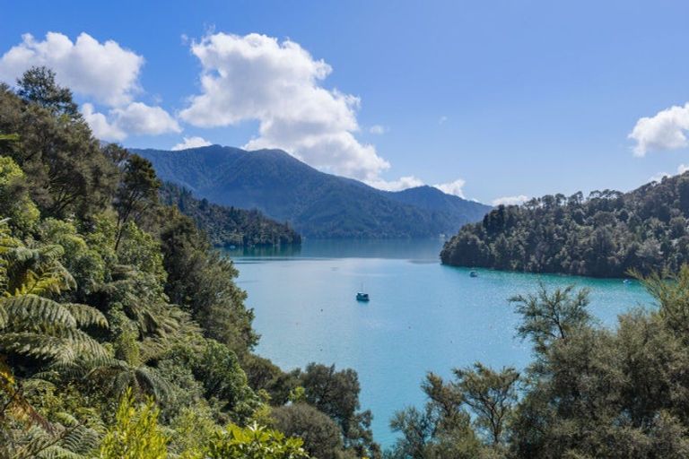 Photo of property in 1703 Kenepuru Road, Te Mahia, Picton, 7282