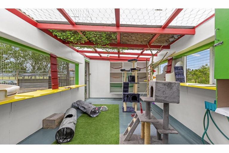 Photo of property in 349 Hauraki Road, Orongo, Thames, 3574