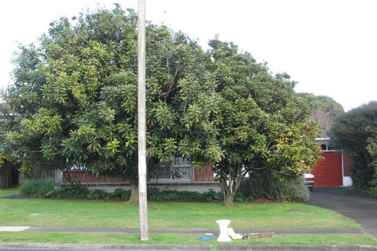 Photo of property in 119 Elliot Street, Pahurehure, Papakura, 2113