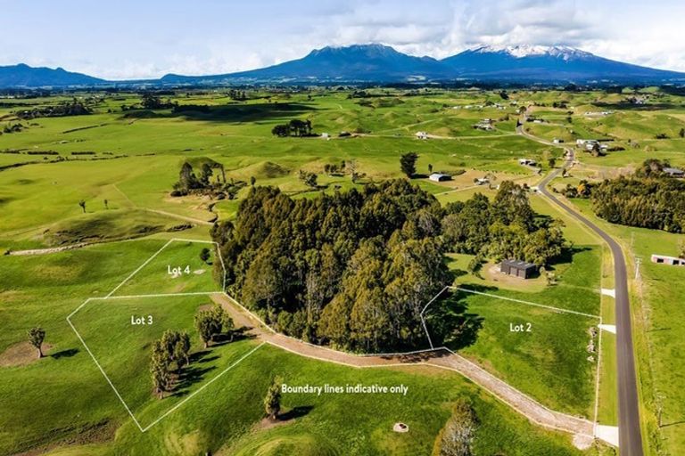 Photo of property in 183 Warea Road, Warea, 4381