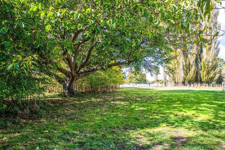 Photo of property in 24 Bennett Street, Waipawa, 4210