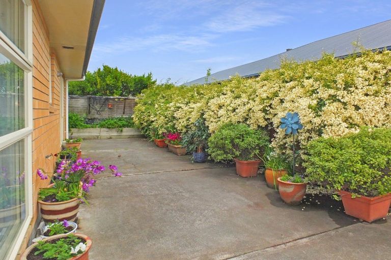 Photo of property in 62 Andrews Street, Foxton Beach, Foxton, 4815