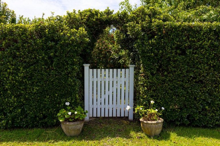 Photo of property in 58 Blicks Lane, Springlands, Blenheim, 7272