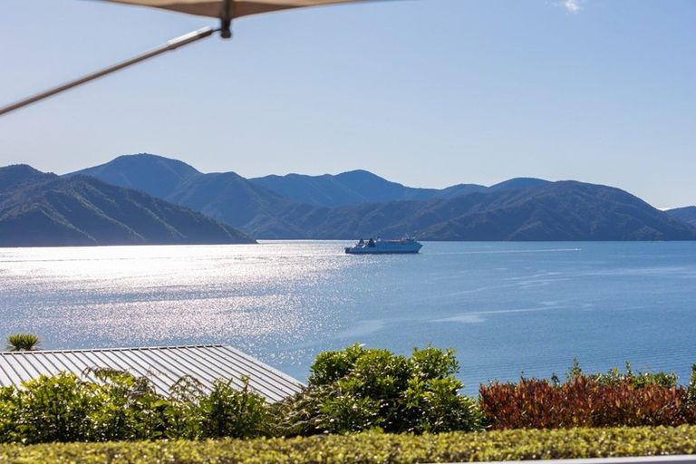 Photo of property in 313 Port Underwood Road, Whatamango Bay, Picton, 7281