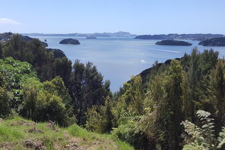 Photo of property in 3 Point Veronica Drive, Opua, 0200