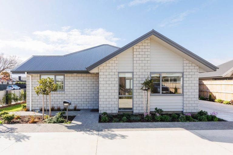 Photo of property in 14b Knowles Street, Terrace End, Palmerston North, 4410