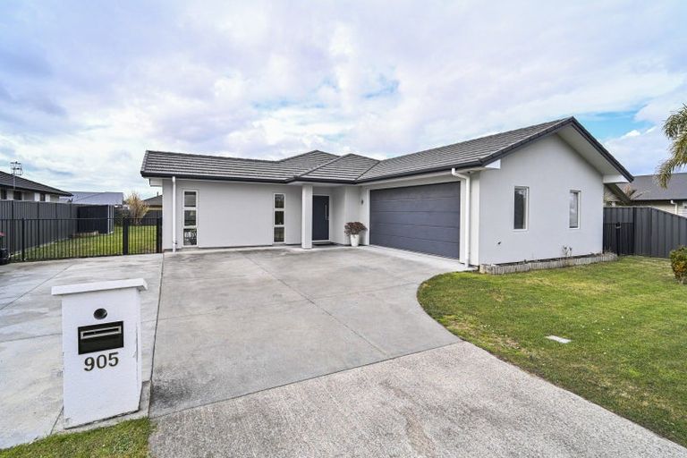 Photo of property in 905 Williams Street, Mahora, Hastings, 4120
