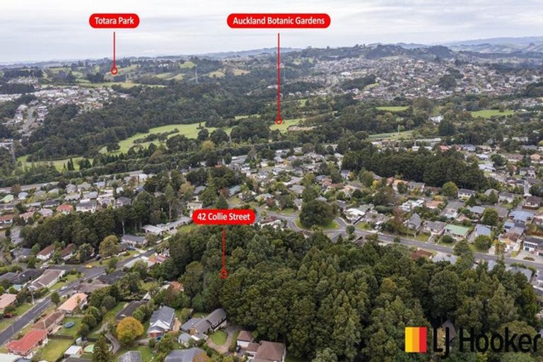 Photo of property in 42 Collie Street, Hillpark, Auckland, 2102
