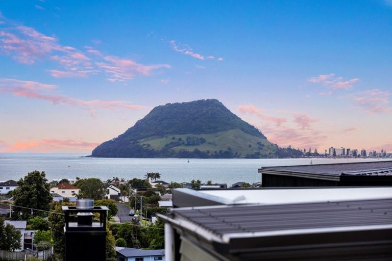 Photo of property in 37c Milton Road, Otumoetai, Tauranga, 3110