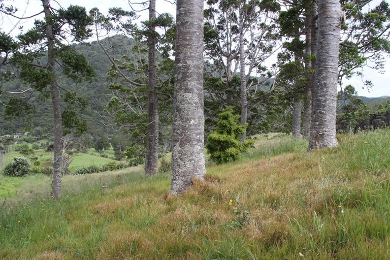 Photo of property in 40b Upland Road, Huia, Auckland, 0604